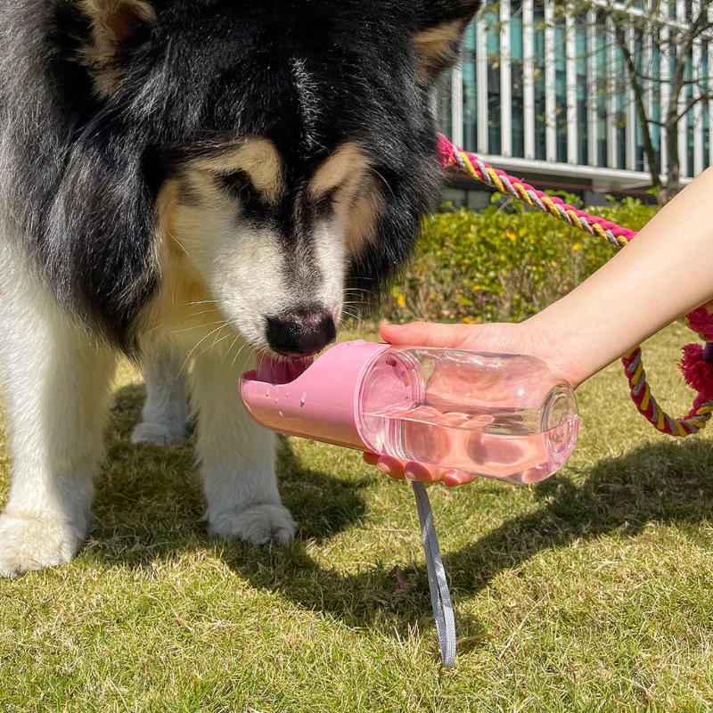 HydroPet™ | Tragbare Wasserflasche für Haustiere - Image 2