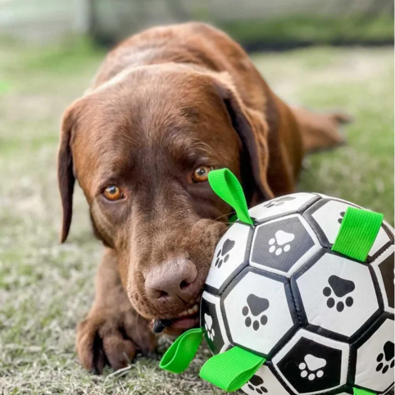 PawKick™ | Fußball für Hunde - Image 3