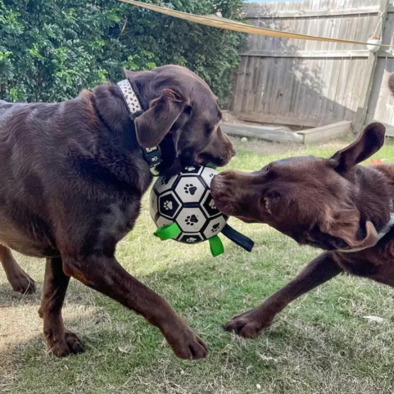 PawKick™ | Fußball für Hunde - Image 4
