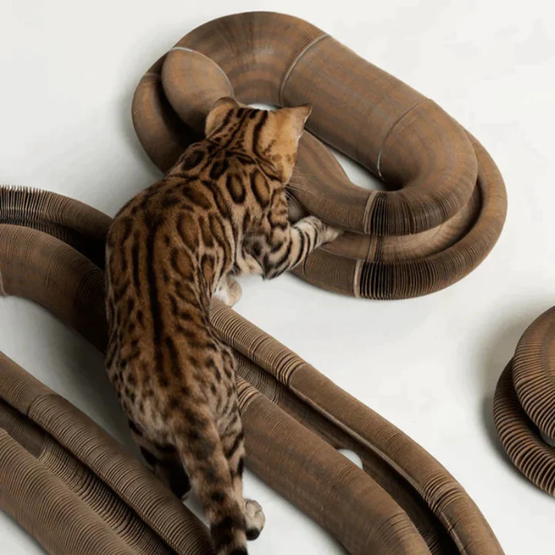 PawMaze™ | Interaktives Katzenspielzeug - Image 4
