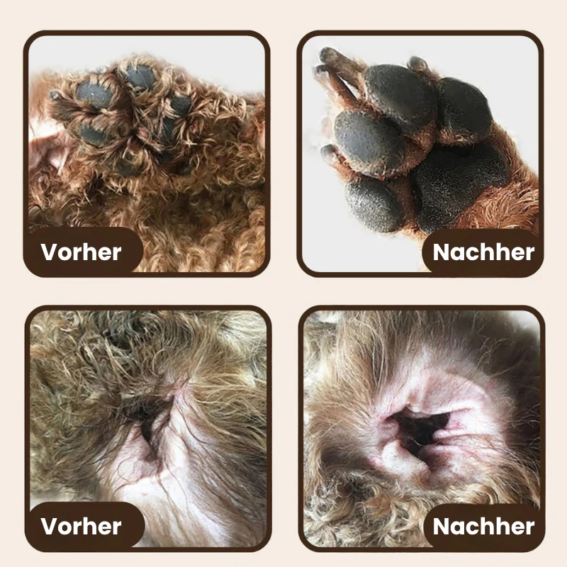 WhispaTrim⢠| Pflegetrimmer fßr Haustiere - Image 3